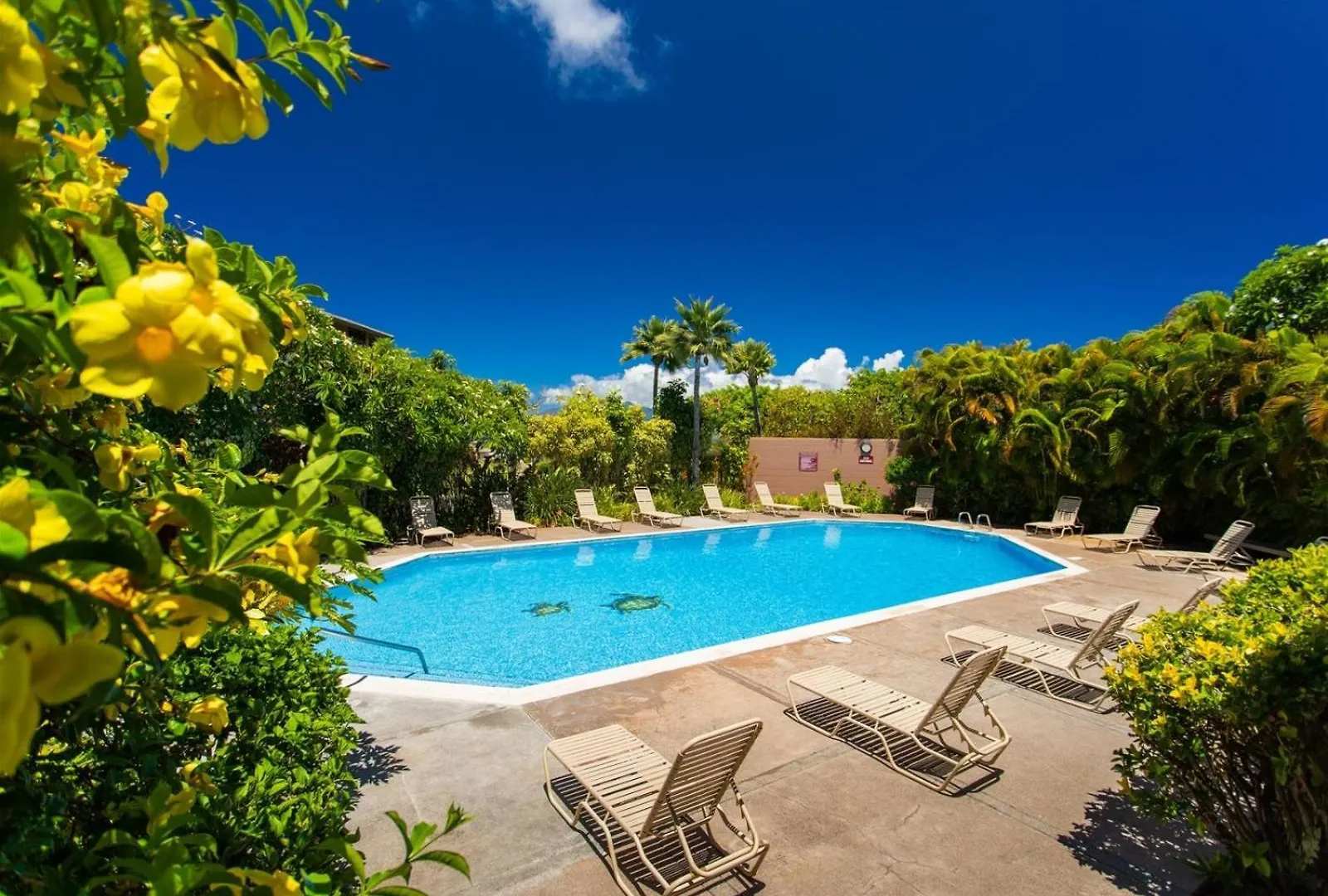 1822 Ridge Apartment Kahana United States