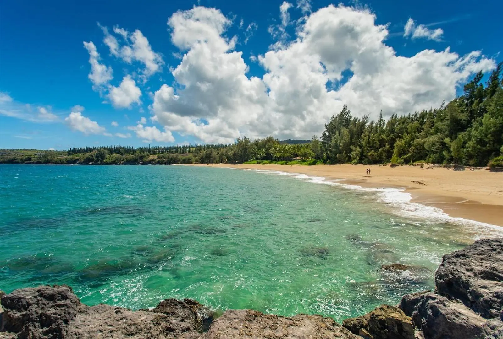 1822 Ridge Apartment Kahana